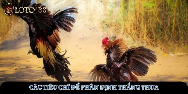 Các tiêu chí xác định thắng thua