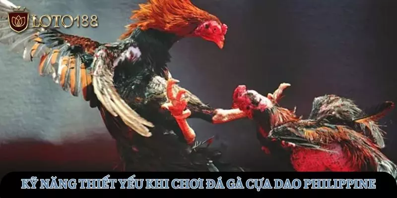 Những kỹ năng thiết yếu khi tham gia đá gà cựa dao