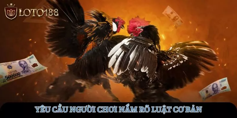 Người chơi yêu cầu nắm rõ luật chơi cơ bản
