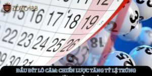 dau-dit-lo-cam_-chien-luoc-tang-ty-le-trung-thuong-hieu-qua