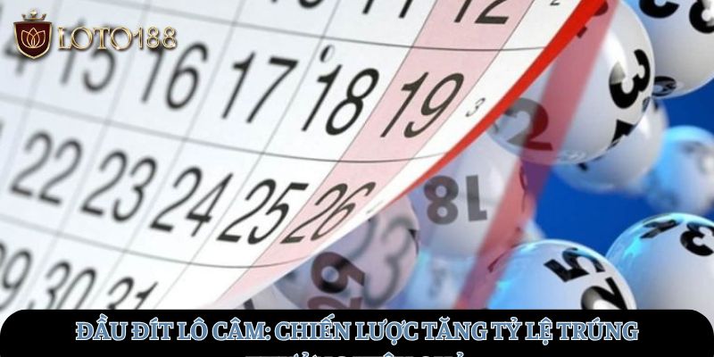 dau-dit-lo-cam_-chien-luoc-tang-ty-le-trung-thuong-hieu-qua