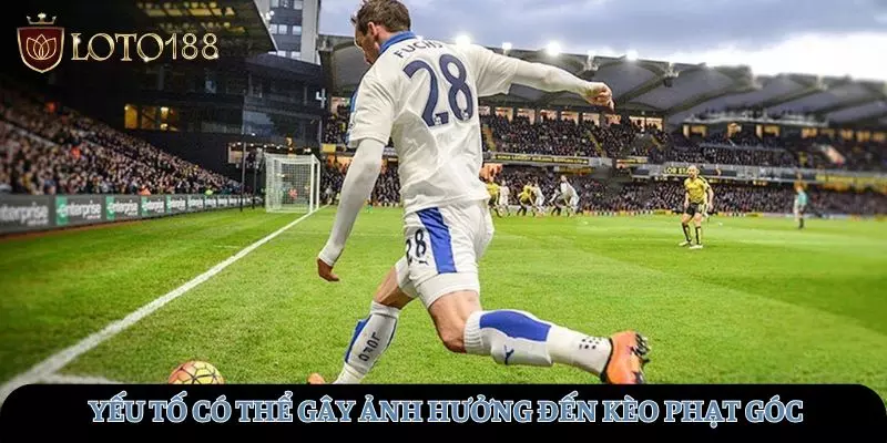 Những yếu tố có thể gây ảnh hưởng đến hình thức đặt kèo