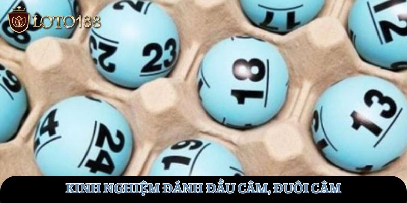 Kinh nghiệm đánh đầu câm, đuôi câm