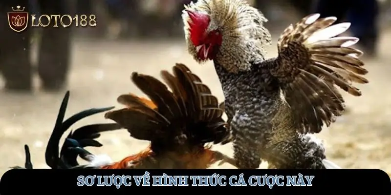 Sơ lược về hình thức cá cược này