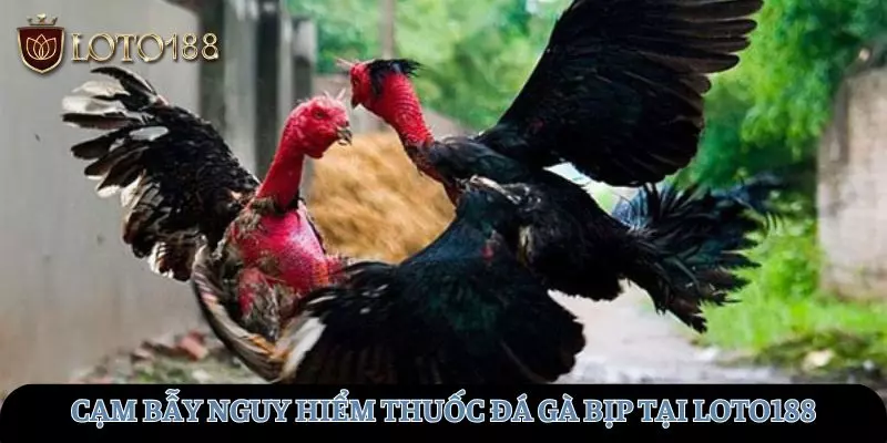 thuoc-da-ga-bip-avt