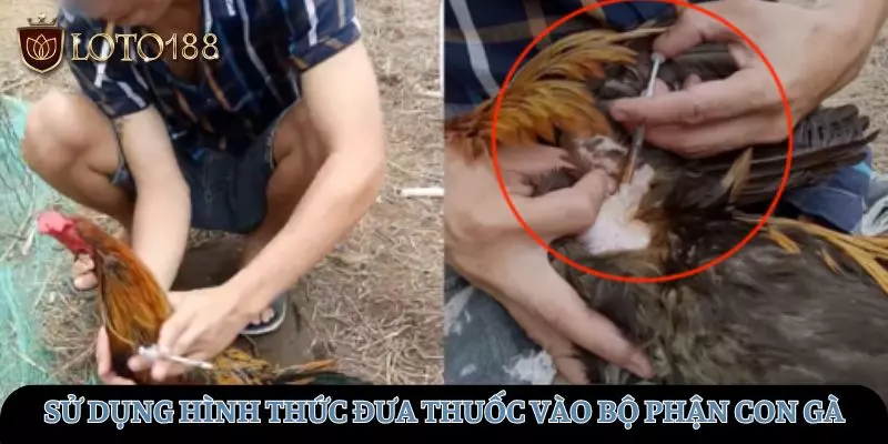 Hình thức đưa thuốc bằng phương pháp bôi/ chích