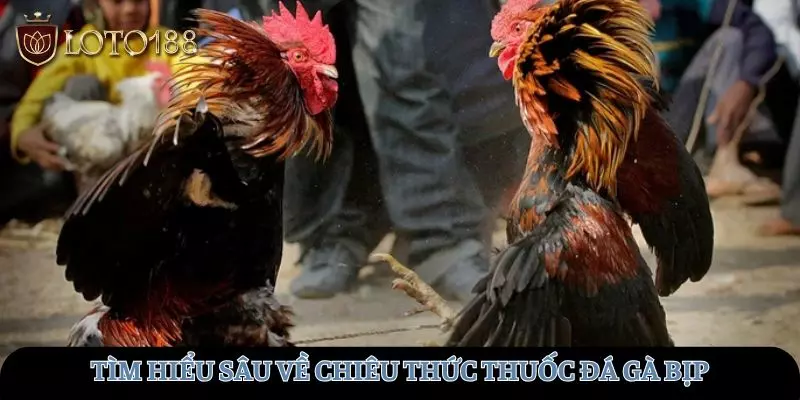 Tìm hiểu sâu về hình thức sử dụng thuốc đá gà bịp