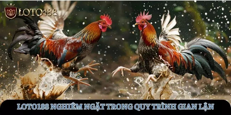 LOTO188 xây dựng nghiêm ngặt quy tắc chống gian lận